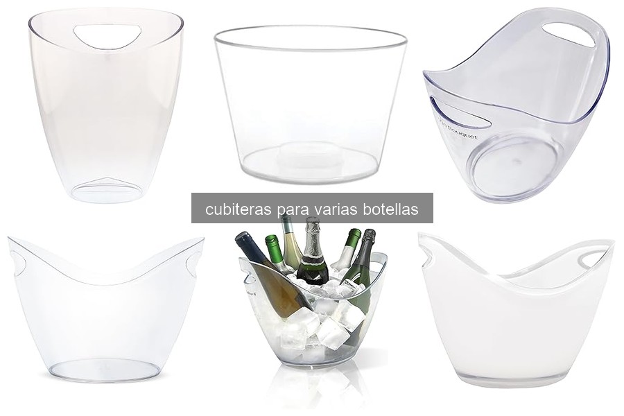 Cómo elegir la cubitera adecuada para tus eventos sociales