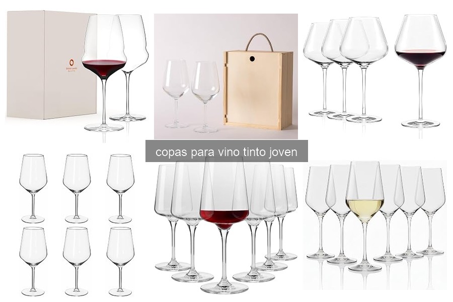 Errores comunes al usar copas de vino tinto joven