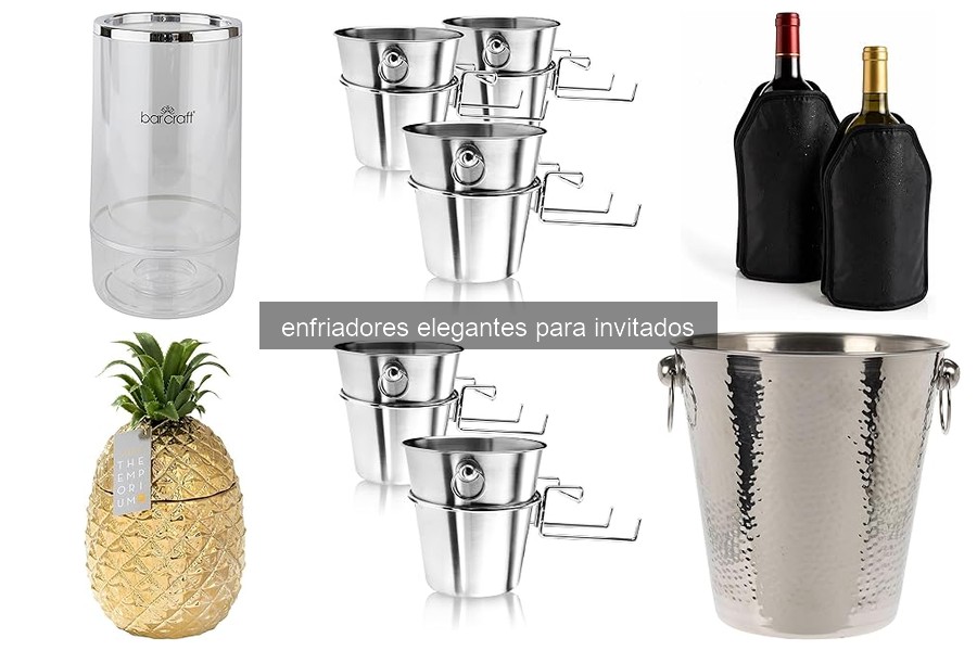 Problemas comunes con enfriadores elegantes y soluciones efectivas