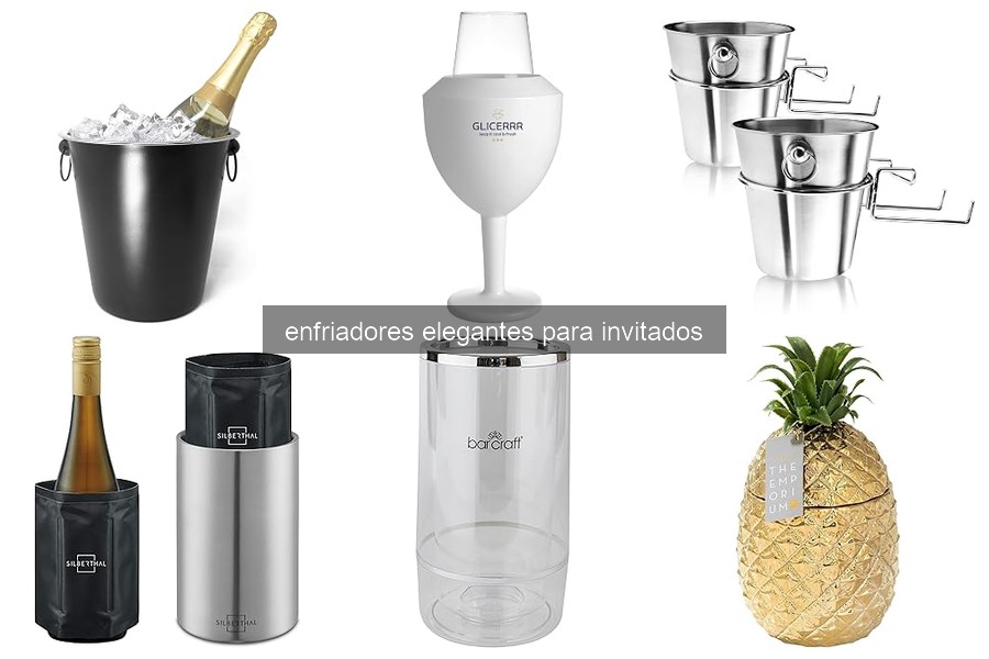 ¿Qué son los enfriadores elegantes para invitados?